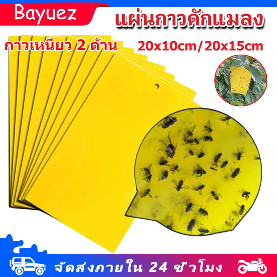 แผ่นกาวดักแมลง (มีกาวในตัว) เหนียว ทนแดด แพ็คละ 20/50/100 แผ่น กับดักแมลงกินผัก กาวดักแมลงวันทอง