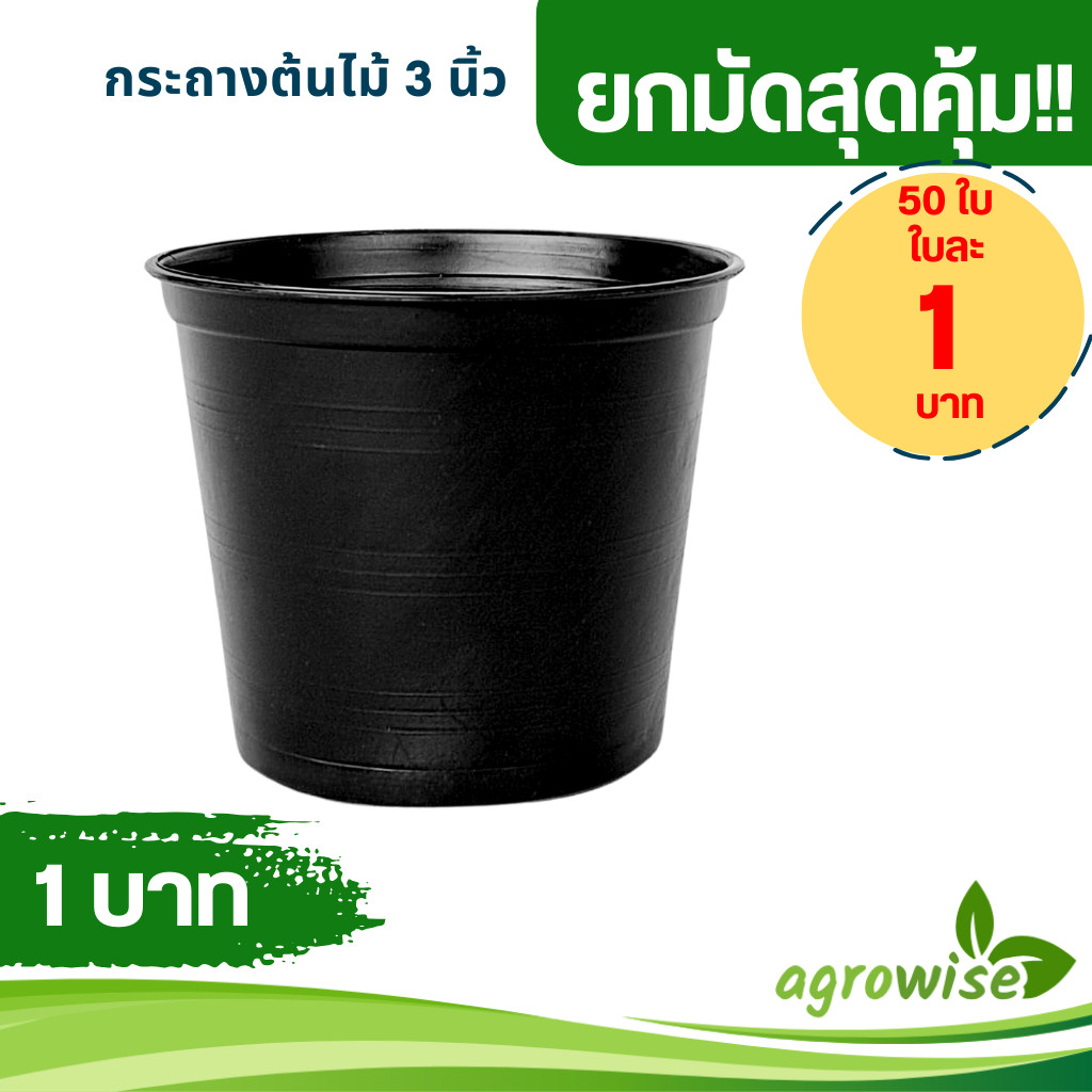 กระถาง กระถางต้นไม้ จานรองกระถางต้นไม้ 3 นิ้ว สีดำ ยกมัด 50 100 ใบ
