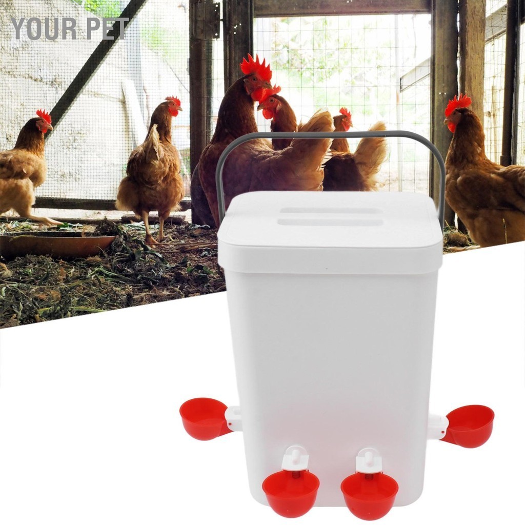 Your Pet Large Capacity Automatic Chicken Waterer and Feeder Set 12 Liter Portable Poultry