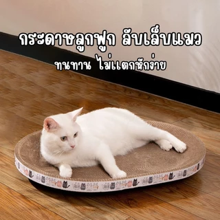 ที่ลับเล็บแมว รูปอ่าง ที่ฝนเล็บแมว เป็นที่นอนแมวไปในตัว ฟรีแคปนิท 3in1