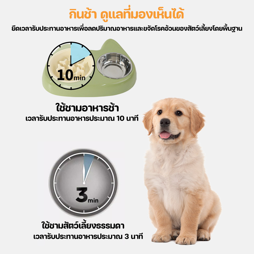 พร้อมจัดส่ง ชามอาหารสัตว์เลี้ยง 2in1 ชามอาหารช้า เหล็กกล้าไร้สนิม ป้องกันการสําลัก ถอดออกได้และทนทาน ป้องกันการพลิกคว่ํา ราคา ถูกที่สุด ดีลบีเคเค แกลเลอรีภาพที่ 8