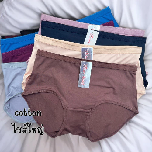 5623 ผ้าไนล่อน+คอตต้อน L,XL,XXL กางเกงใน กางเกงชั้นใน ไซส์ใหญ่ Sister hood