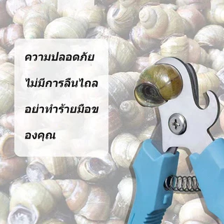 ที่ตัดก้นหอย เปิดขวดได้ด้วย ตัดง่ายไม่ต้องใช้มีดฟันให้ยุ่งยาก และไม่เสียงโดนมือ