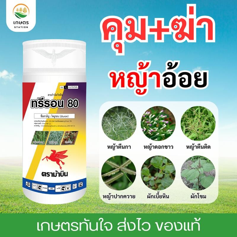 ทรีรอน ไดยูรอน 80 1ลิตร กำจัดและคุมวัชพืช ใบแคบ ใบกว้าง ออกฤทธิ์เร็ว ใช้ได้ใน อ้อย มันสำปะหลัง สัปปะรด