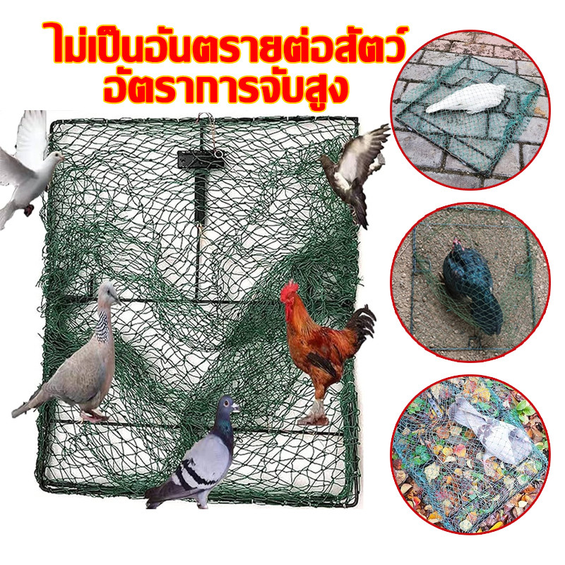 กับตักนก กับดักไก่และกับดักนกทุกชนิดกว้าง เซนสปริงดีตาข่ายดีเหล็กดีติดแล้วไม่หลุดใช้งานได้หลายปี