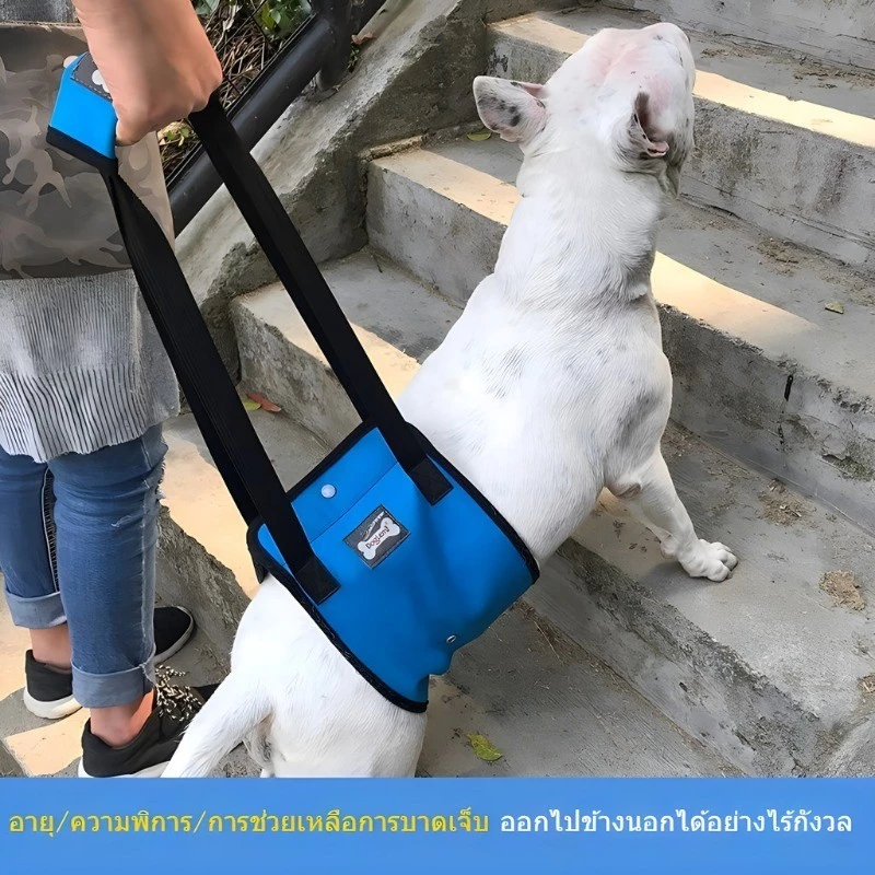 evebell อุปกรณ์ช่วยพยุงสุนัข LIFT HARNESS ลดแรงกระแทกที่ข้อเข่า สำหรับสัตว์เลี้ยง