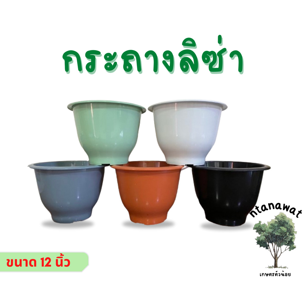 กระถางลิซ่า กระถางต้นไม้ กระถางสวยๆ ขนาด 12 นิ้ว (มีให้เลือก 5 สี)