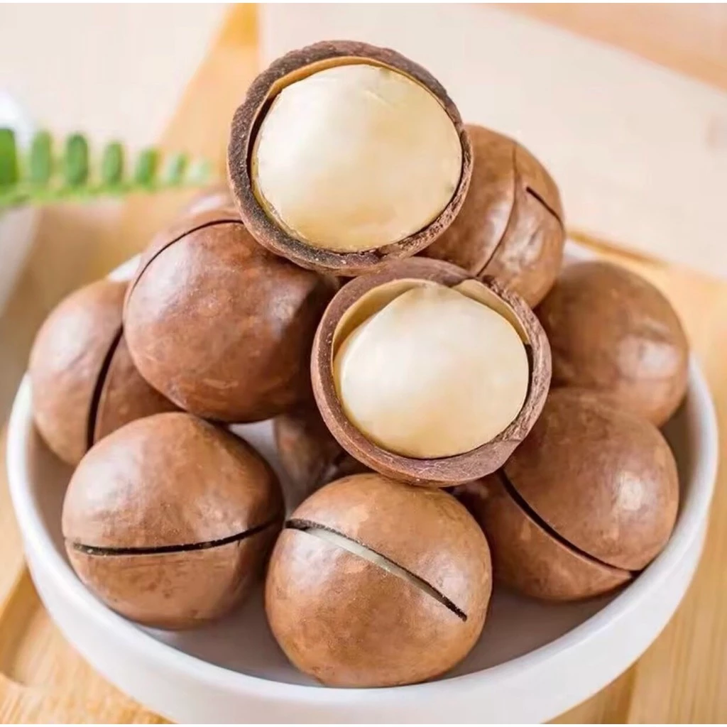 แมคคาเดเมีย **ซื้อ1เเถม2** 🔰 Macadamia อร่อย หอม มัน เนื้อแน่น แกะง่าย อบเนย ไม่เค็ม ถั่ว ของทานเล่น ถั่วแมคคาเดเมีย thumbnail 4