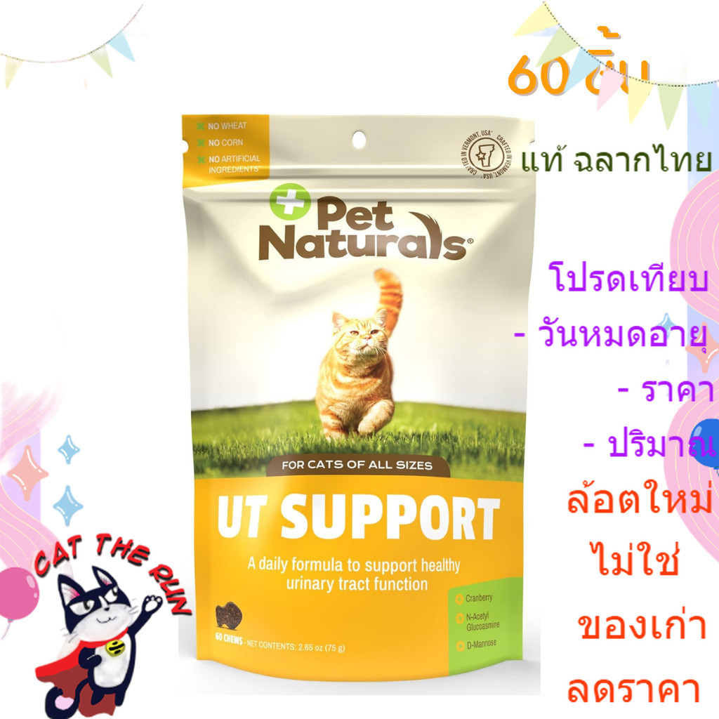 นิ่ว ใหม่ exp 8/26 ทางเดินปัสสาวะ 60 ชิ้น แมว ฉี่ไม่ออก ขนม อาหาร วิตามิน UT SUPPORT CRANBERRY URINA