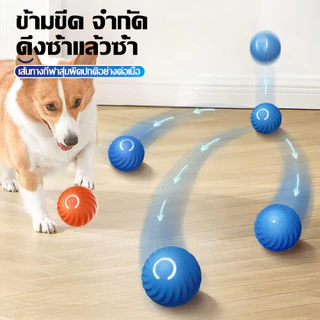 ลูกบอลไฟฟ้าอัตโนมัติ-พอร์ต-USB-สําหรับฝึกสุนัข-แมว