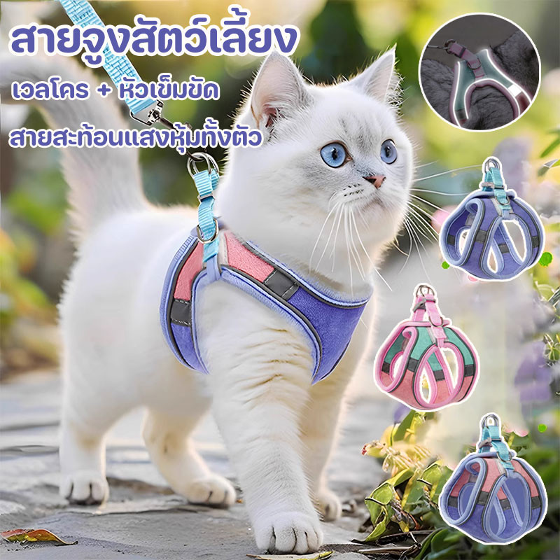 สายจูงแมวรัดอก+เสื้อ 3in1 สายจูงสัตว์เลี้ยง เสื้อรัดอกแมว ปรับระดับได้ สะท้อนแสงกลางคืน ปลอดภัยทุกการเดินทาง