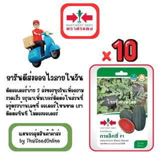 GG x 10 เมล็ดผักซองศรแดง กาแล็กซี่ แตงโม สินค้ายกแพ็ค