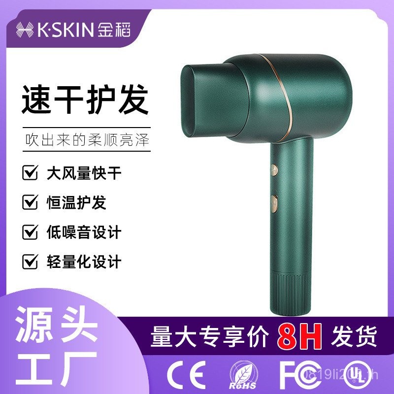 Golden Rice Hair Care เครื่องเป่าผมกําลังสูงในครัวเรือนขายส่งเครื่องเป่าผมฟรีค้อนไอออนลบ KD318 ของขว