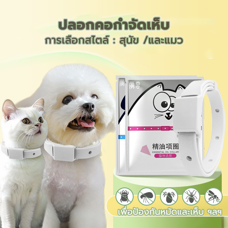 ปลอกคอกันเห็บหมัด สุนัข/ และแมว ปลอกคอกำจัดเห็บ ปลอกคอกำจัด เพื่อป้องกันหมัดและเห็บ ฯลฯ