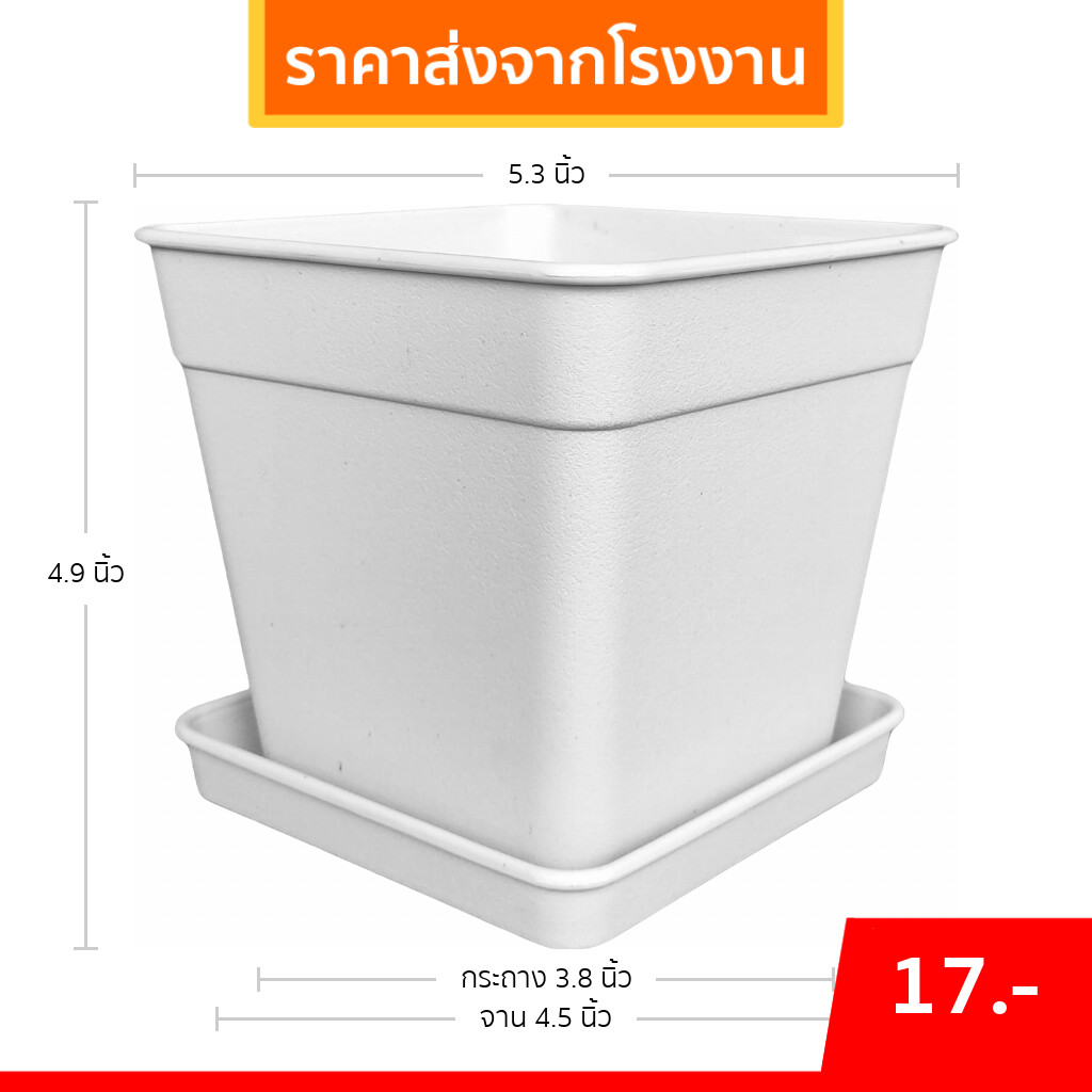 กระถางแคคตัส กระถางสี่เหลี่ยม พร้อมจานรอง 5 5.3 นิ้ว สีขาว Bundle 12 ชุด ใบ