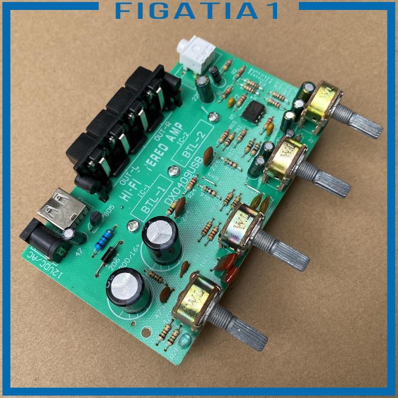 [figatia1] Dx0409 100W ช่องดิจิตอลเสียงสเตอริโอเครื่องขยายเสียง DC 12V