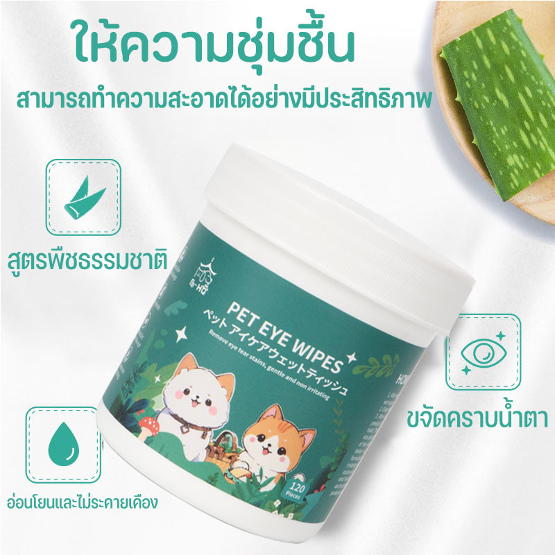 รูปภาพ 2