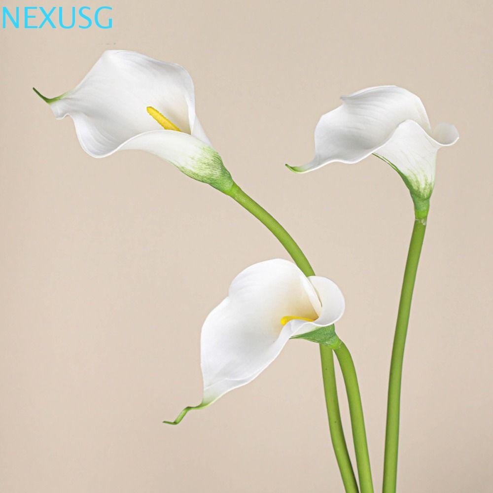 NEXUSG 3 ชิ้นประดิษฐ์ Calla ดอกไม้, 50 ซม.ทําด้วยมือจําลอง Sea Taro, การจัดดอกไม้ EVA สัมผัสจริงช่อดอกไม้เทียมห้องนั่งเล่นที่บ้าน