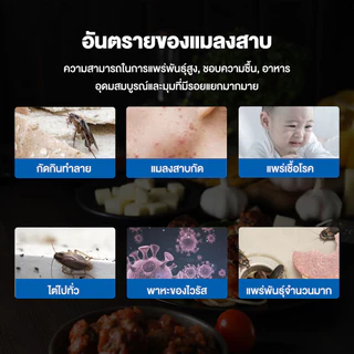เจลฆ่าแมลงสาบ ดึงดูดแมลงสาบ กำจัดแมลงสาบ ไล่แมลงสาบ ที่ดักแมลงสาบ กำจัดทั้งรัง ป้องกันแมลงสาบ
