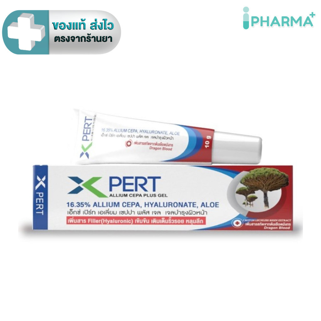 X Pert Allium Cepa Plus Gel เพิ่ม Hyaluronic และ สารสกัดจากต้นเลือดมังกร สูตรอ่อนโยน 10 g.[IP]