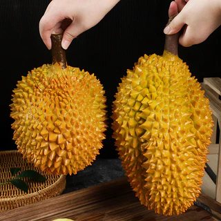 ทุเรียนปลอมเหมือนจริง พร็อพถ่ายรูป พร็อพร้านอาหาร ทุเรียนโชว์ เนื้อสวย น่ากินมาก!