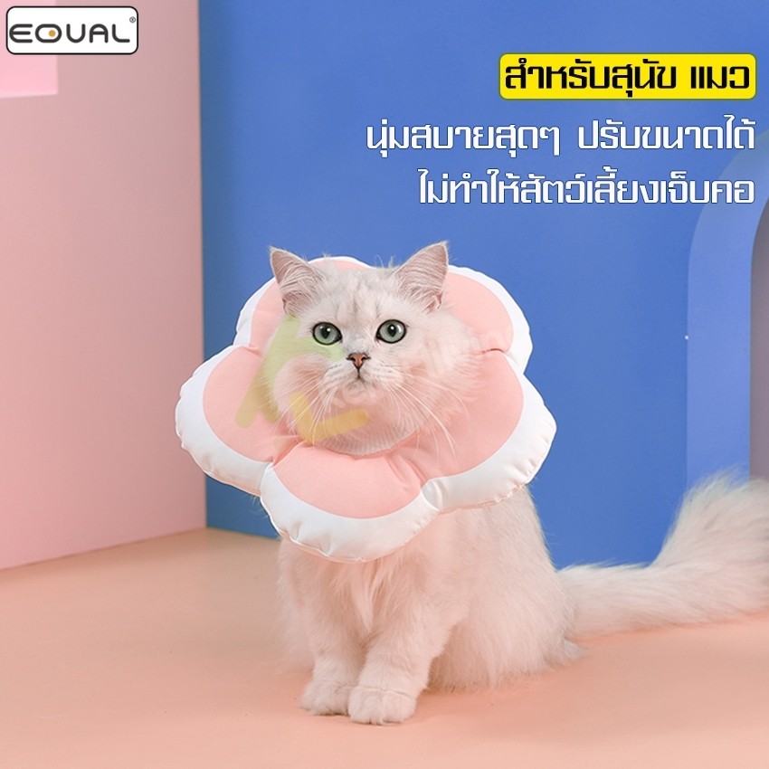 EQUAL ปลอกคอกันเลีย รูปดอกไม้ คอลล่าสุนัข คอลล่าแมว ลำโพงกันเลีย สำหรับสัตว์เลี้ยง มี 3 สีให้เลือก