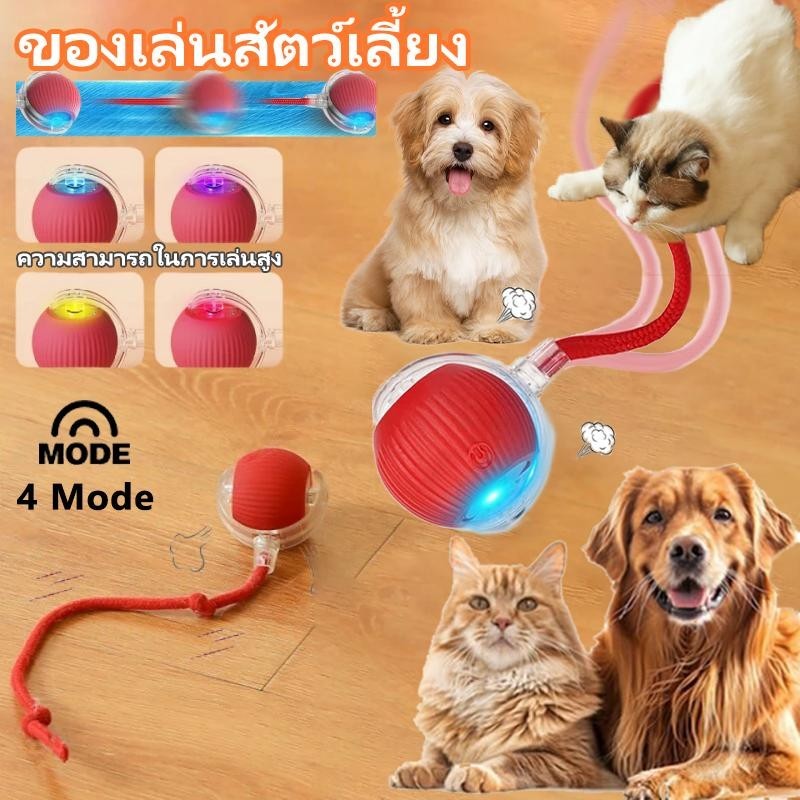 ของเล่นแมวอัจฉริยะ ลูกบอลกลิ้งอัตโนมัติพร้อมดีไซน์หางปลอม,ของเล่นสัตว์เลี้ยงแบบโต้ตอบไฟฟ้าแบบชาร์จไฟได้