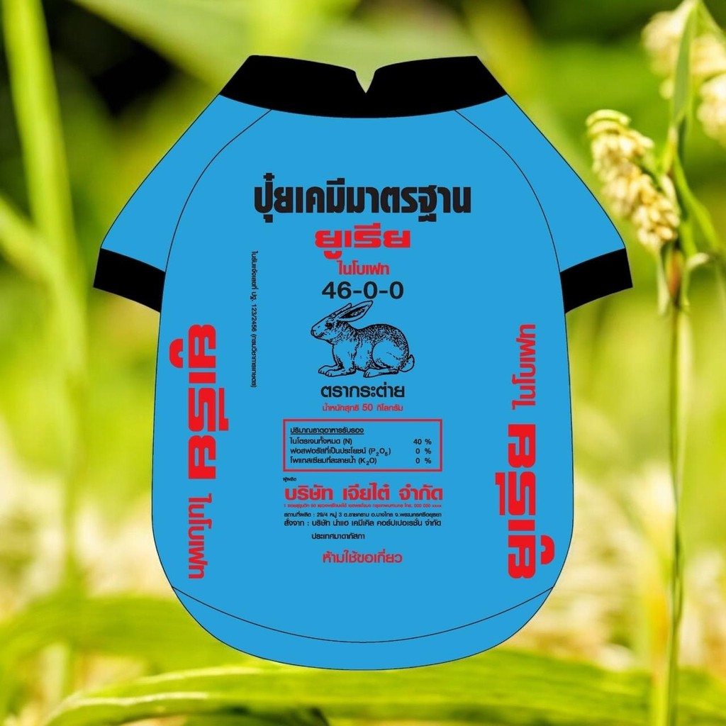 รูปภาพ 7