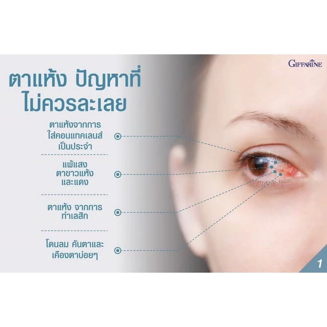 วิตามินบำรุงสายตา อควาเทียร์ ลดอาการตาแห้ง กิฟฟารีน Aqua Tear GIFFARINE ตาแห้ง แพ้แสง thumbnail 8