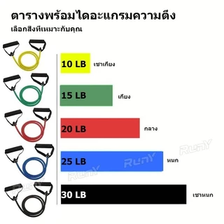 อุปกรณ์ฝึกกล้ามเนื้อหน้าอก ฟิตเนสเชือกยืดหยุ่น เข็มขัดแรงดึง เข็มขัดความต้านทาน อุปกรณ์ออกกำลังกาย เชือกดึงบ้าน