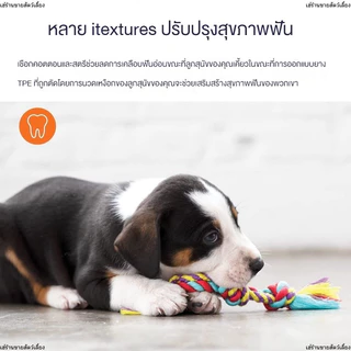 ของเล่นสุนัข เชือกกัด สุดคิ้วท์ เหมาะสำหรับสุนัข รุ่นมีห่วงจับ เชือกขัดฟัน สำหรับสุนัขแมว