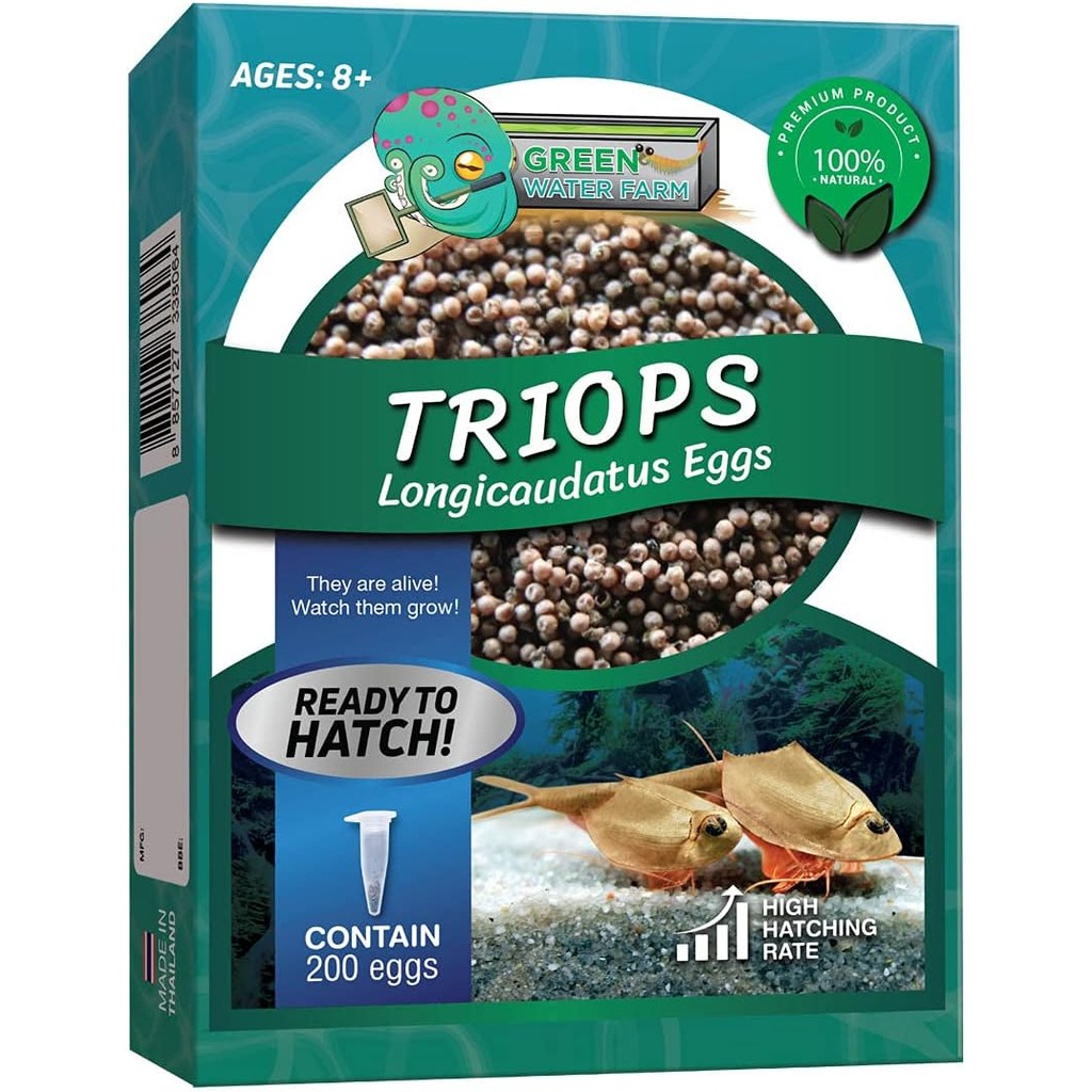 Greenwaterfarm Triops Longicaudatus Eggs สําหรับฟักไข่และวัฒนธรรม เหมาะสําหรับเป็นโครงการสัตว์เลี้ยงและวิทยาศาสตร์ (บริสุทธิ์