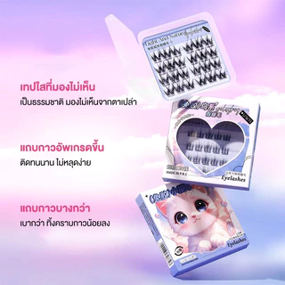 (พร้อมส่งในไทย) ขนตาปลอม3D มีกาวในตัว มีกาวในตัว ติดทน ใช้ซ้ำได้ เหมาะสำหรับมือใหม่ 24/30 / 30 ช่อ/กล่อง