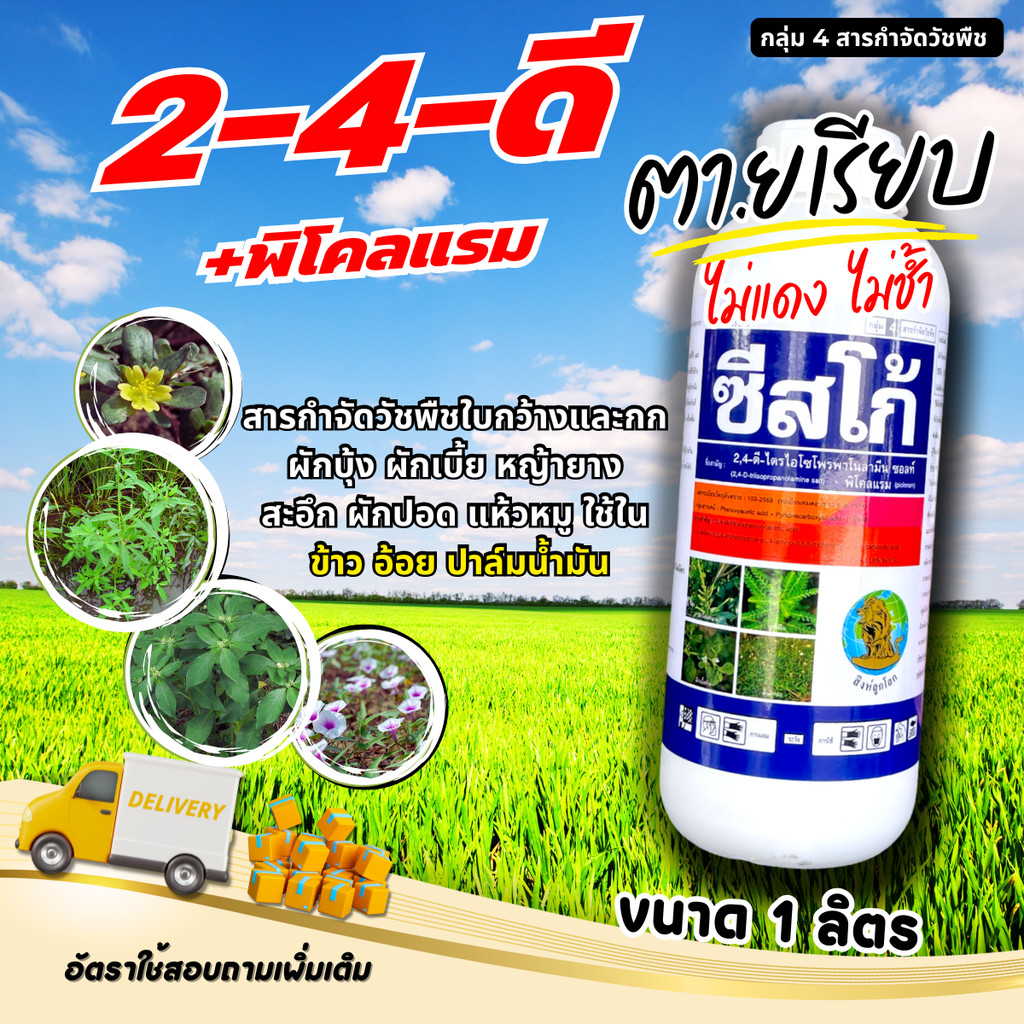 ซีสโก้ ขนาด 1000 cc สารกำจัดวัชพืชใบกว้าง กำจัดวัชพืชหลังงอก โสน กกต่างๆ เซ่งใบมน ผักเบี้ยหิน ผักปอดนา ผักโขม กำจัดวัชพื