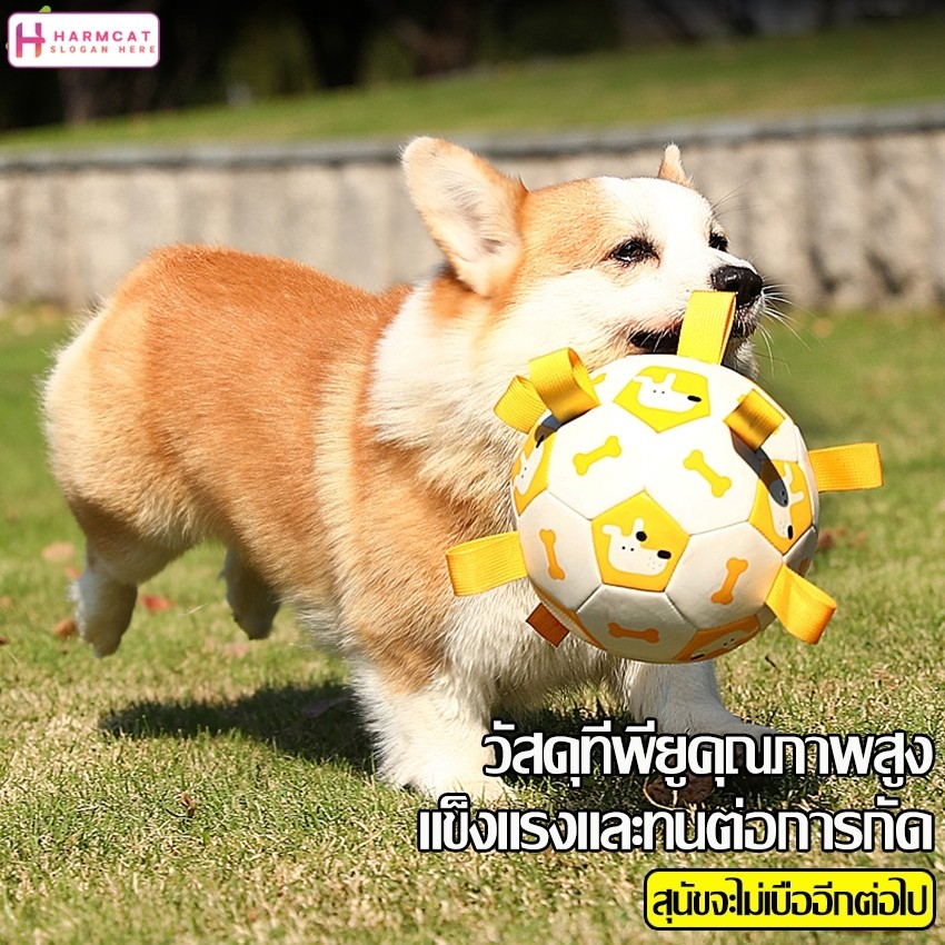 Harmcat ลูกบอลฝึกสุนัข ของเล่นหมา เหมาะกับฝึกเล่นกลางแจ้ง ลูกบอลฟุตบอลกัด Training Ball มี 3 สีให้เลือก