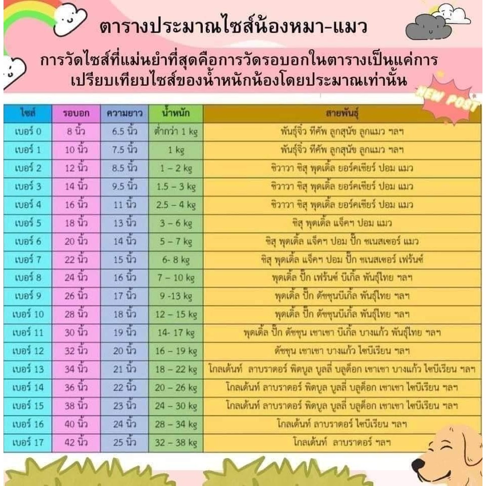 รูปภาพ 8