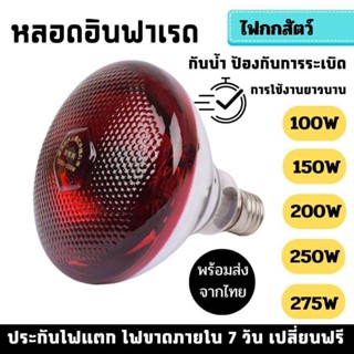 หลอดไฟอินฟาเรด หลอดไฟกกสัตว์ หลอดไฟให้ความอบอุ่น รุ่นเรียบ ไ…