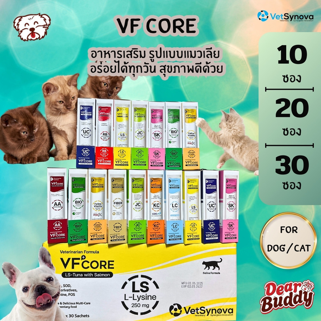 วิตามินรูปแบบเลีย VF+ core สำหรับสุนัขและแมว แมวเลีย สุนัขเลีย หมาเลีย เสริมภูมิ L-lysine RB Joint