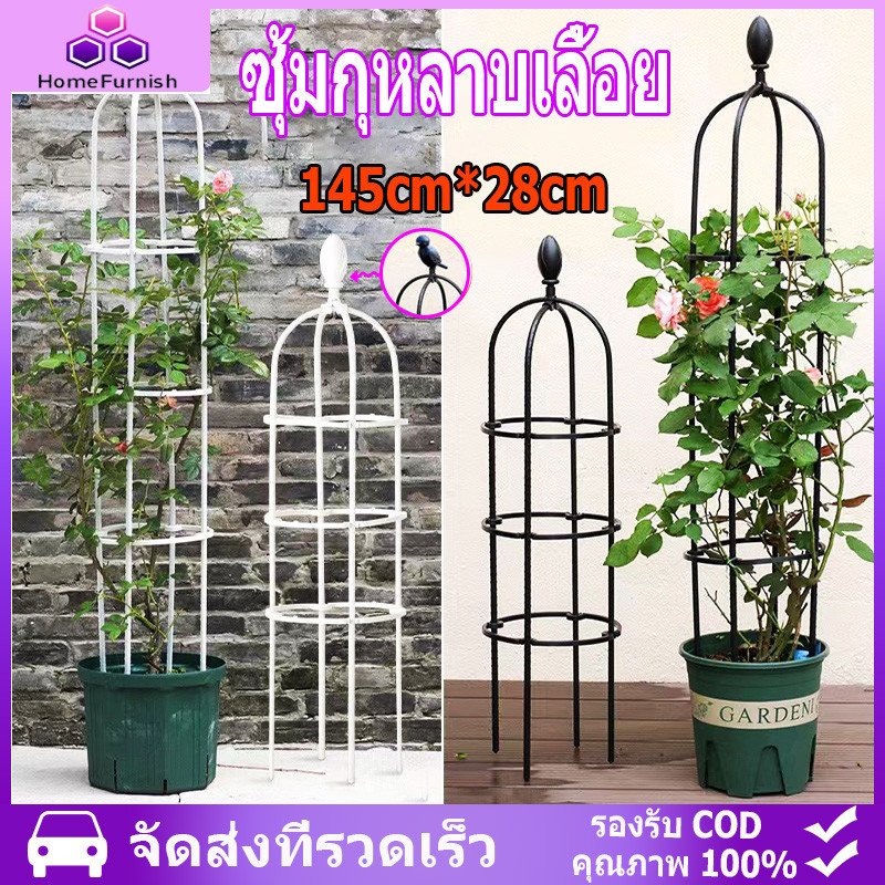 ซุ้มกุหลาบเลื้อย ซุ้มไม้เลื้อย ซุ้มกุหลาบ 145cm*28cm โครงกุหลาบเลื้อย เหล็กแข็งแรง ท่อเหล็กเคลือบ PE กันสนิม กระถางต้นไม