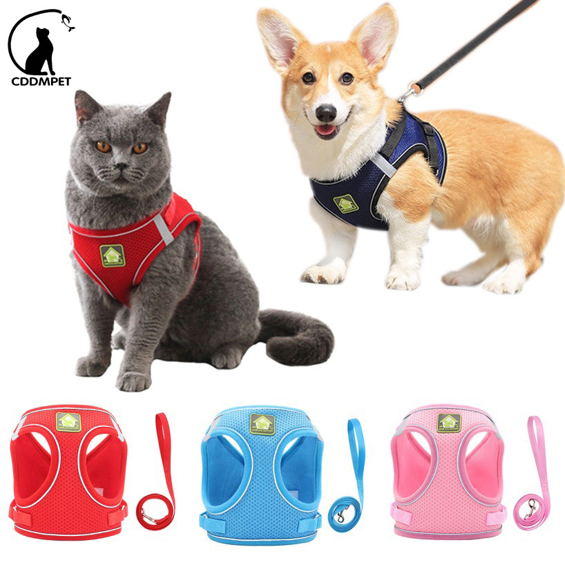 【CDDMPET】สายรัดลูกสุนัขพร้อมปลอกคอปรับได้ เสื้อกั๊กสะท้อนแสงนุ่มระบายอากาศ