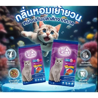 [[จำนวน 5 ถุง]] อาหารแมว catty cat โปรตีน26% ขนาด1กิโลกรัม*ถุงจากโรงงาน*