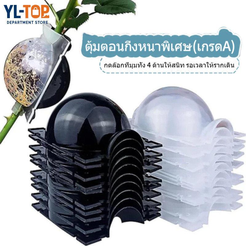 ตุ้มตอนกิ่งหนาพิเศษ เกรดA - ตุ้มตอนพลาสติก ลูกบอลตอนกิ่ง - ขยายพันธุ์พืช ตอนกิ่งไม้/ต้นไม้ G3228