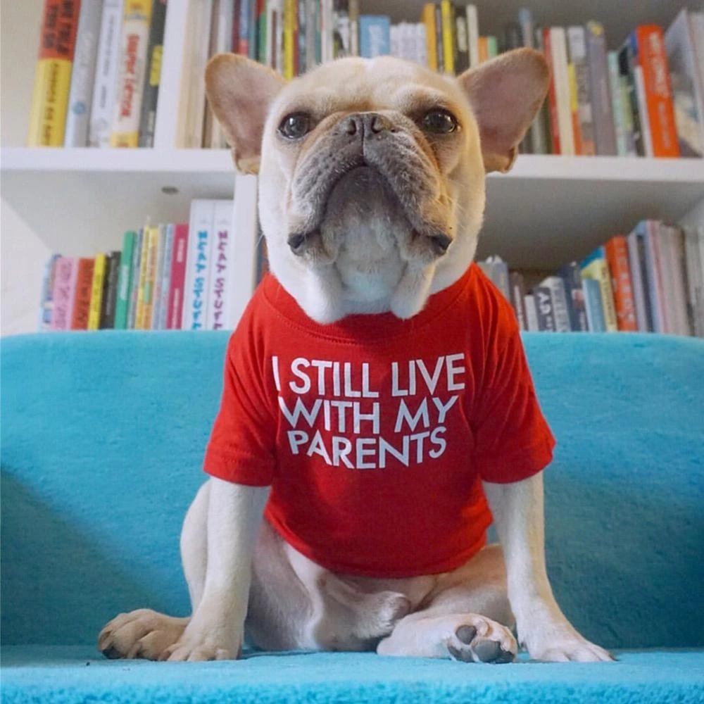 Timekey เสื้อยืดผ้าฝ้ายพิมพ์ลายสุนัข S-2XL สำหรับ French Bulldog thumbnail 4
