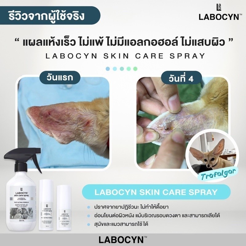Labocyn Skin Care Spray สเปรย์ดูแลผิวหนัง ขนาด 25-50 ml (หมดอายุ 02/2027) - รูปที่ 6