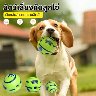 CODของเล่นสัตว์เลี้ยง ของเล่นสุนัขขัดฟัน ลูกบอลสุนัขมีเสียง Giggle Glow Ball ลูกบอล สุนัข ของเล่นสุนัขมีเสียง