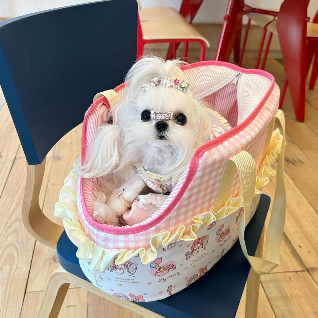 กระเป๋าแมวแมว กระเป๋าสุนัข กระเป๋าสัตว์เลี้ยง ฤดูร้อน สัตว์เลี้ยง ออกนอกบ้าน แบบพกพา สี่ ฤดูกาล ระบายอากาศ เท็ดดี้ สุนัขขนาดเล็ก แมว ลูกไม้ แบบพ