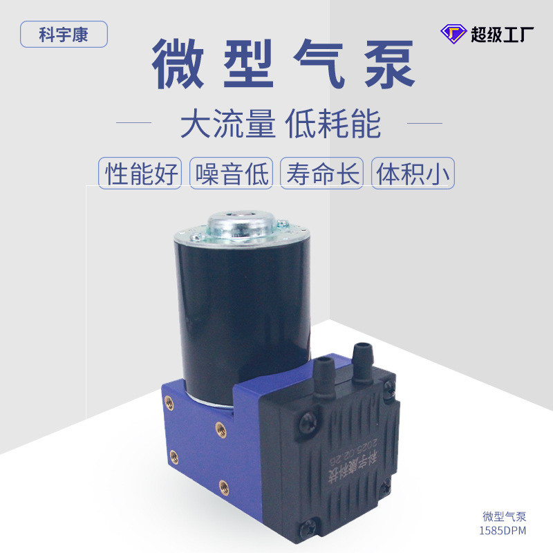 1585DPM厂家批发汽车气泵充气气动隔膜泵无泄漏防爆增压泵