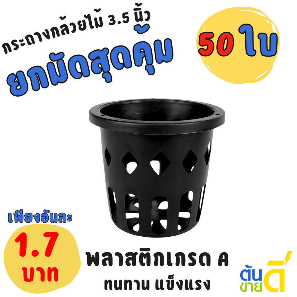 กระถาง กระถางกล้วยไม้ กระถางแขวน กลม 3 3.5 นิ้ว Bundle 50 ใบ