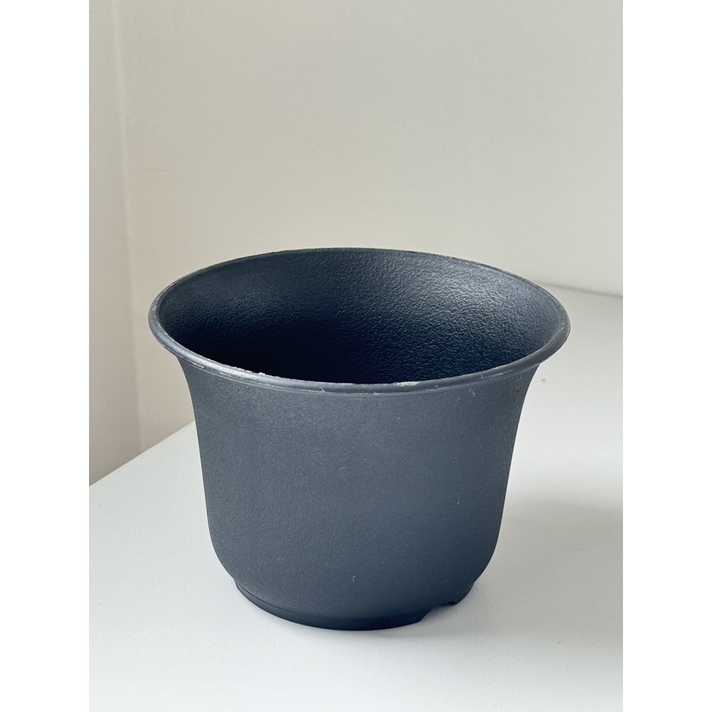 มุมมอง 6