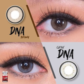 คอนแทคเลนส์(บิ๊กอาย) Dna Brown / Gray (Lovelylens) ⭐️ลายฮิต ขายดีมาก กรองแสงกันยูวี
